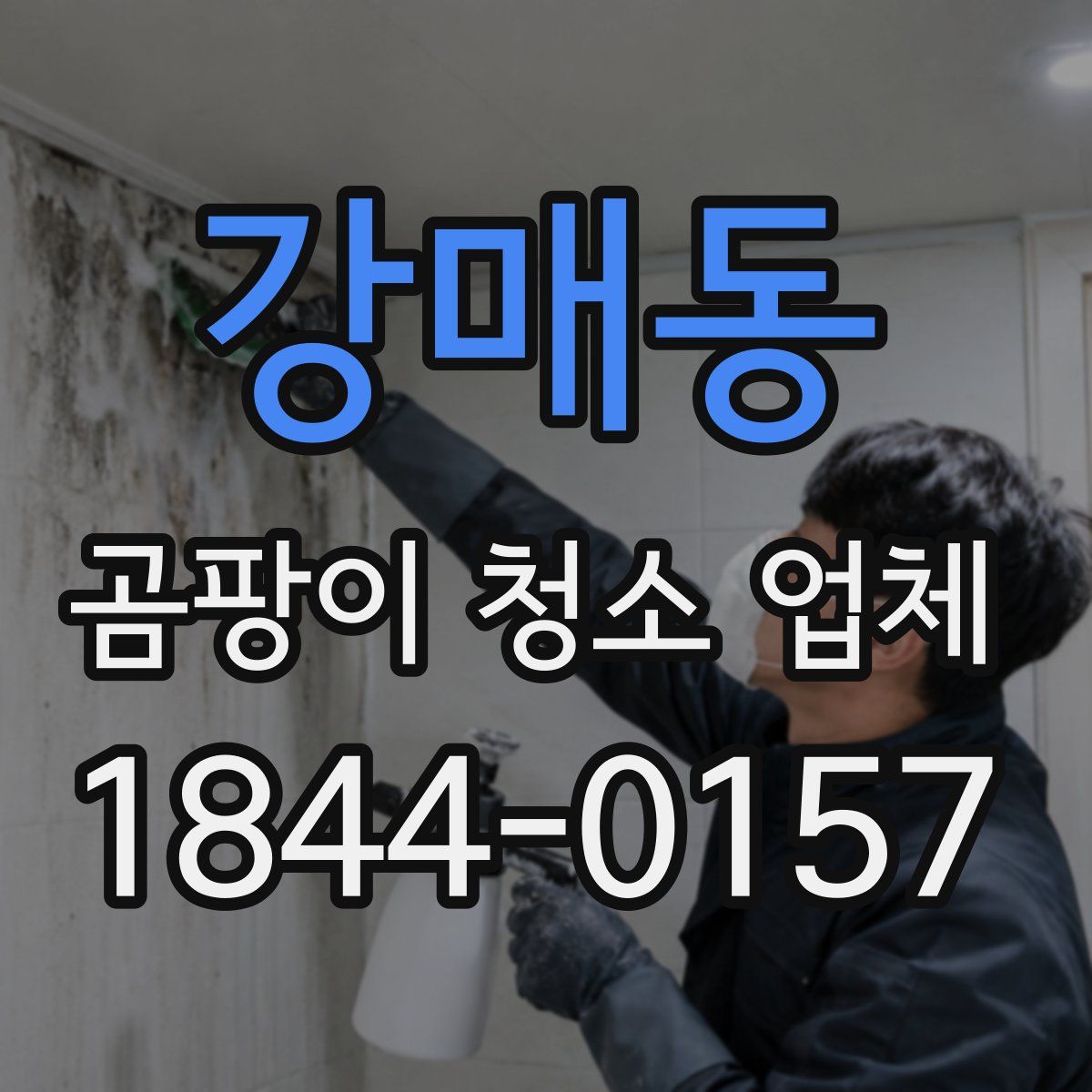 강매동 곰팡이 청소 업체
