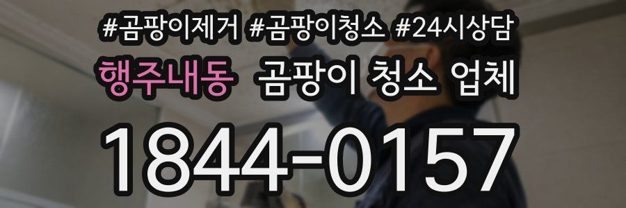 행주내동 곰팡이 청소 업체