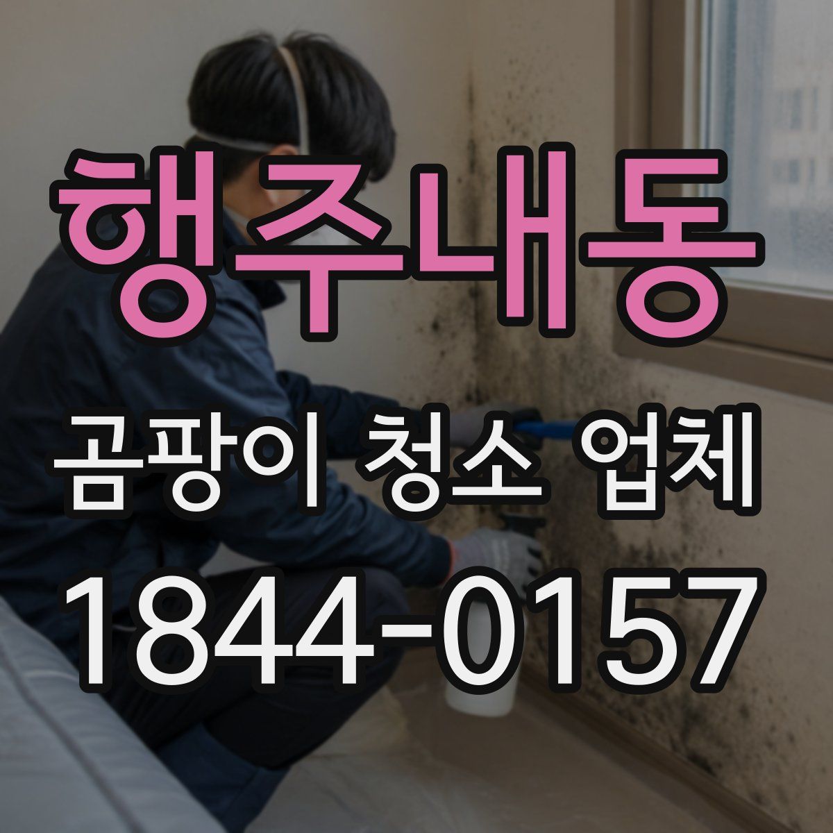 행주내동 곰팡이 청소 업체