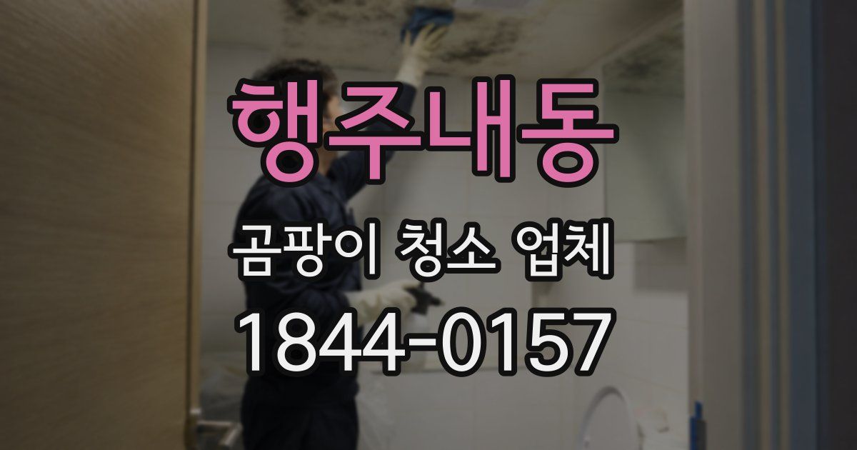 행주내동 곰팡이 청소 업체