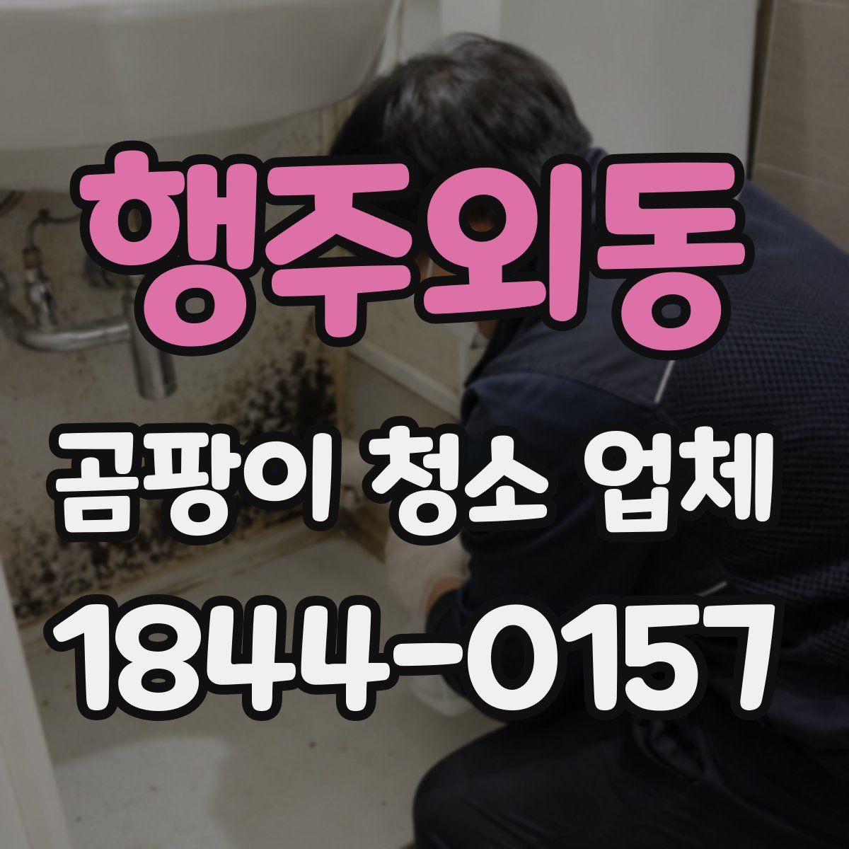 행주외동 곰팡이 청소 업체