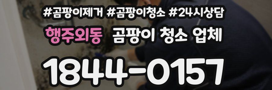 행주외동 곰팡이 청소 업체