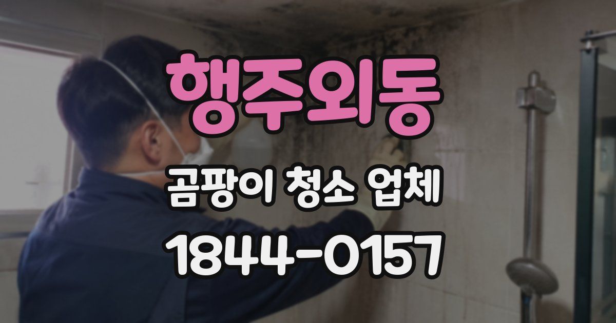 행주외동 곰팡이 청소 업체