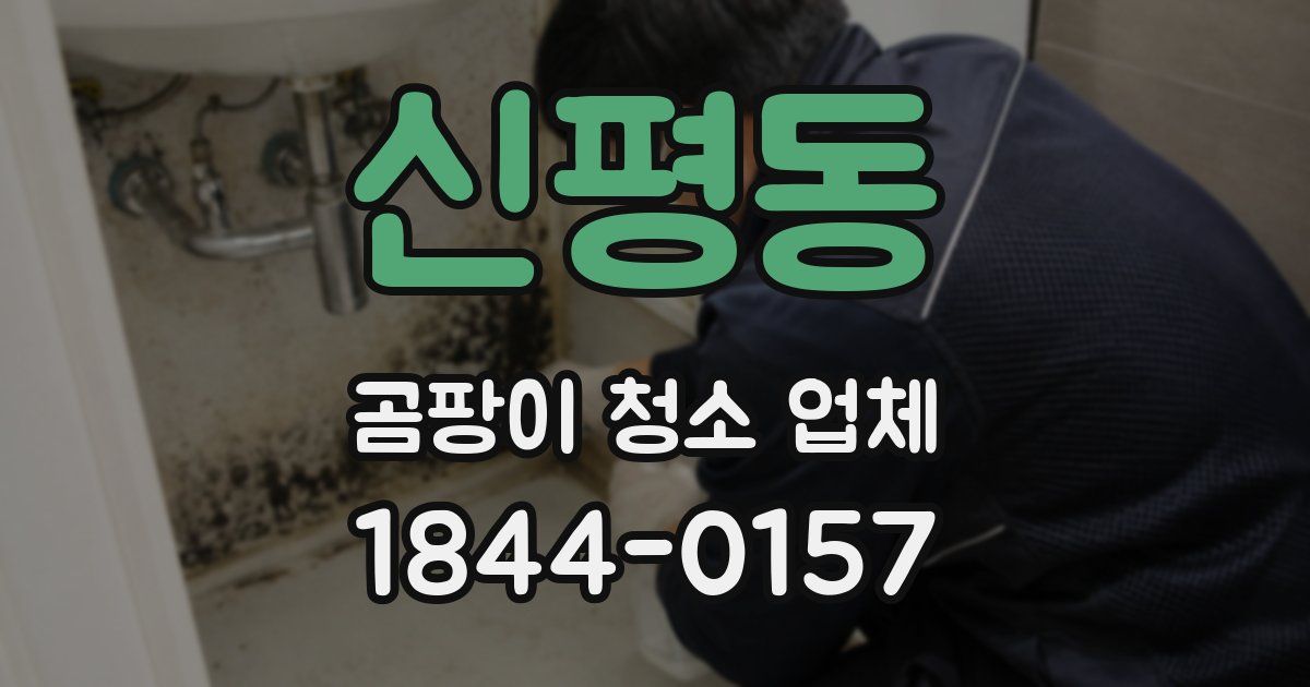 신평동 곰팡이 청소 업체