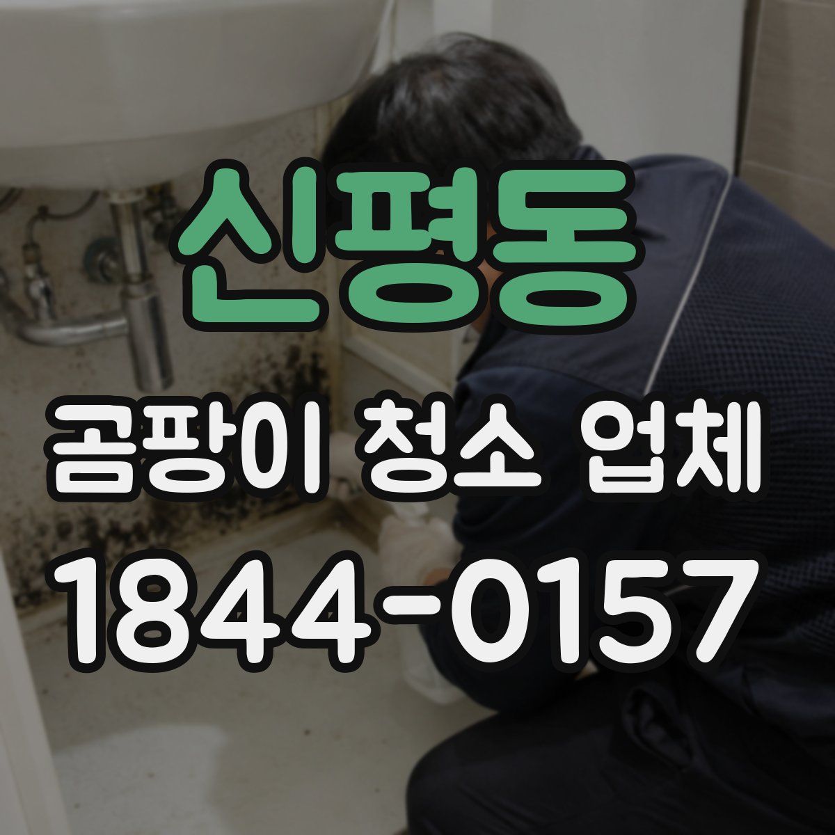 신평동 곰팡이 청소 업체