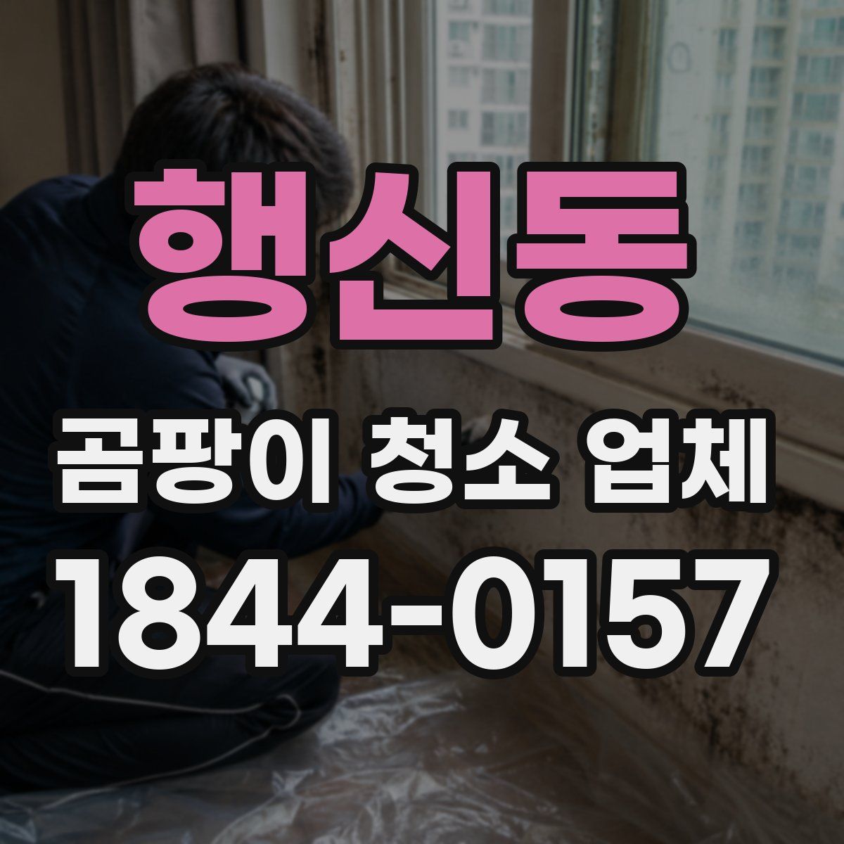 행신동 곰팡이 청소 업체