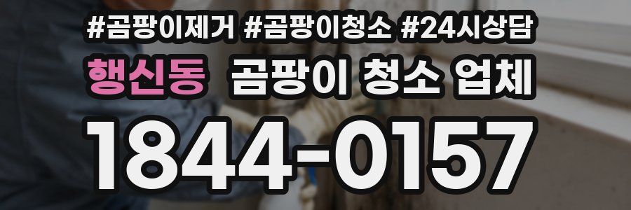 행신동 곰팡이 청소 업체