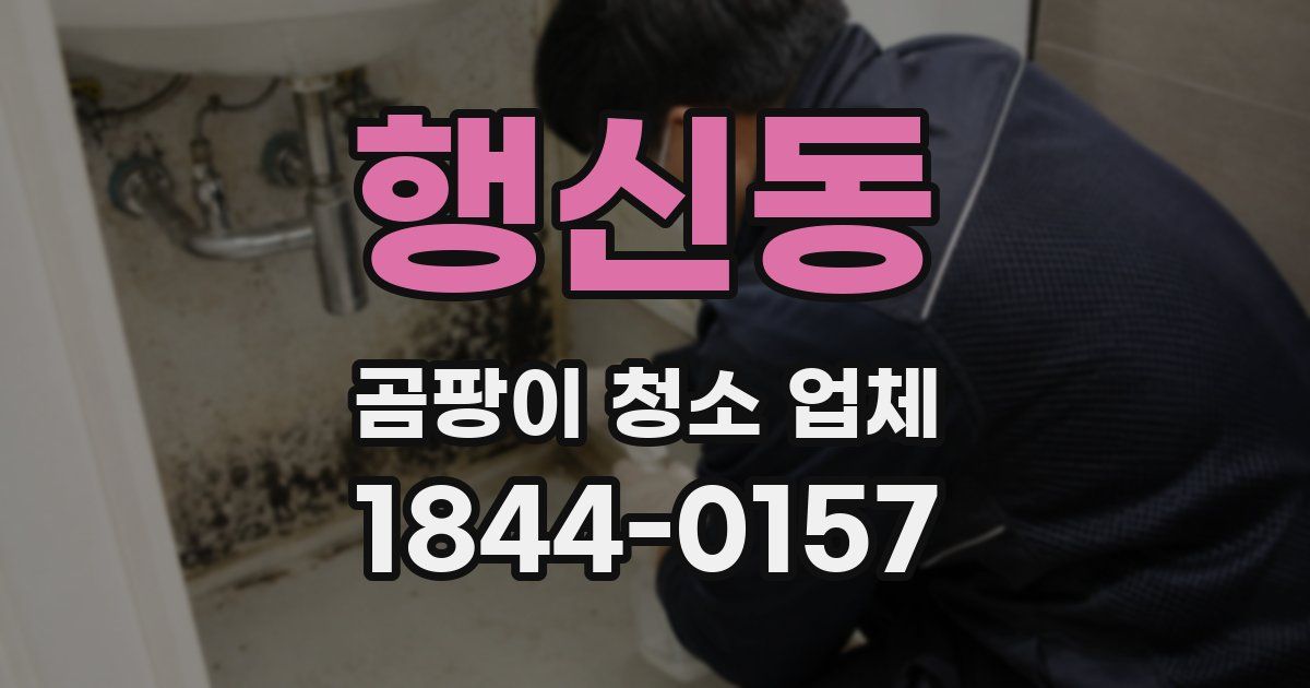 행신동 곰팡이 청소 업체
