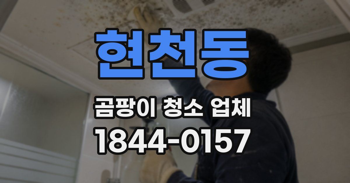 현천동 곰팡이 청소 업체