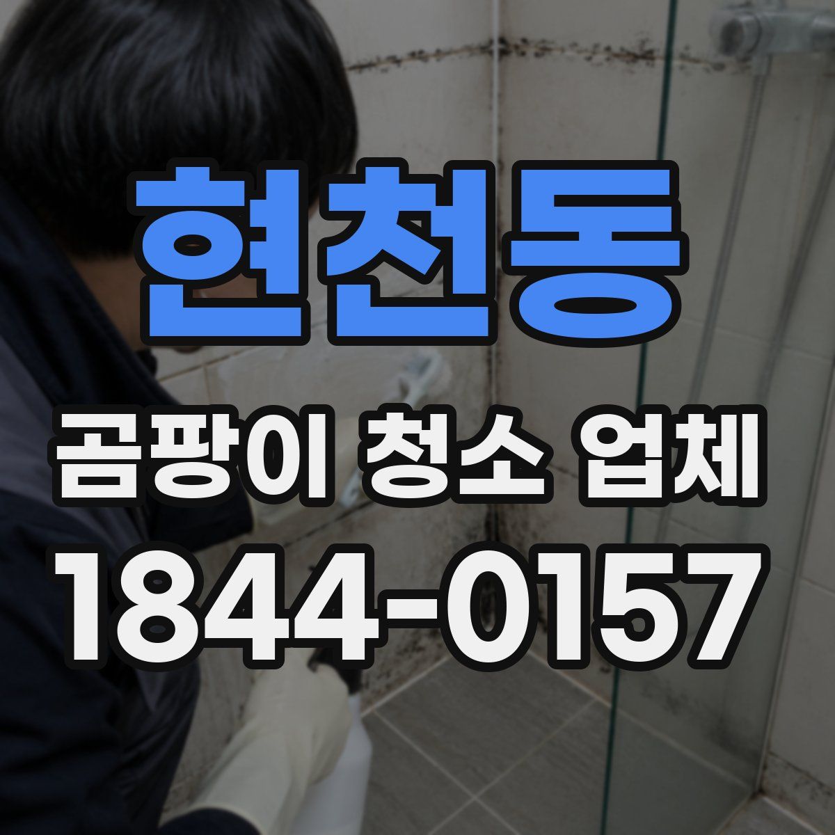 현천동 곰팡이 청소 업체