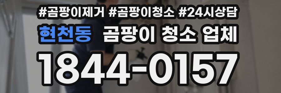 현천동 곰팡이 청소 업체