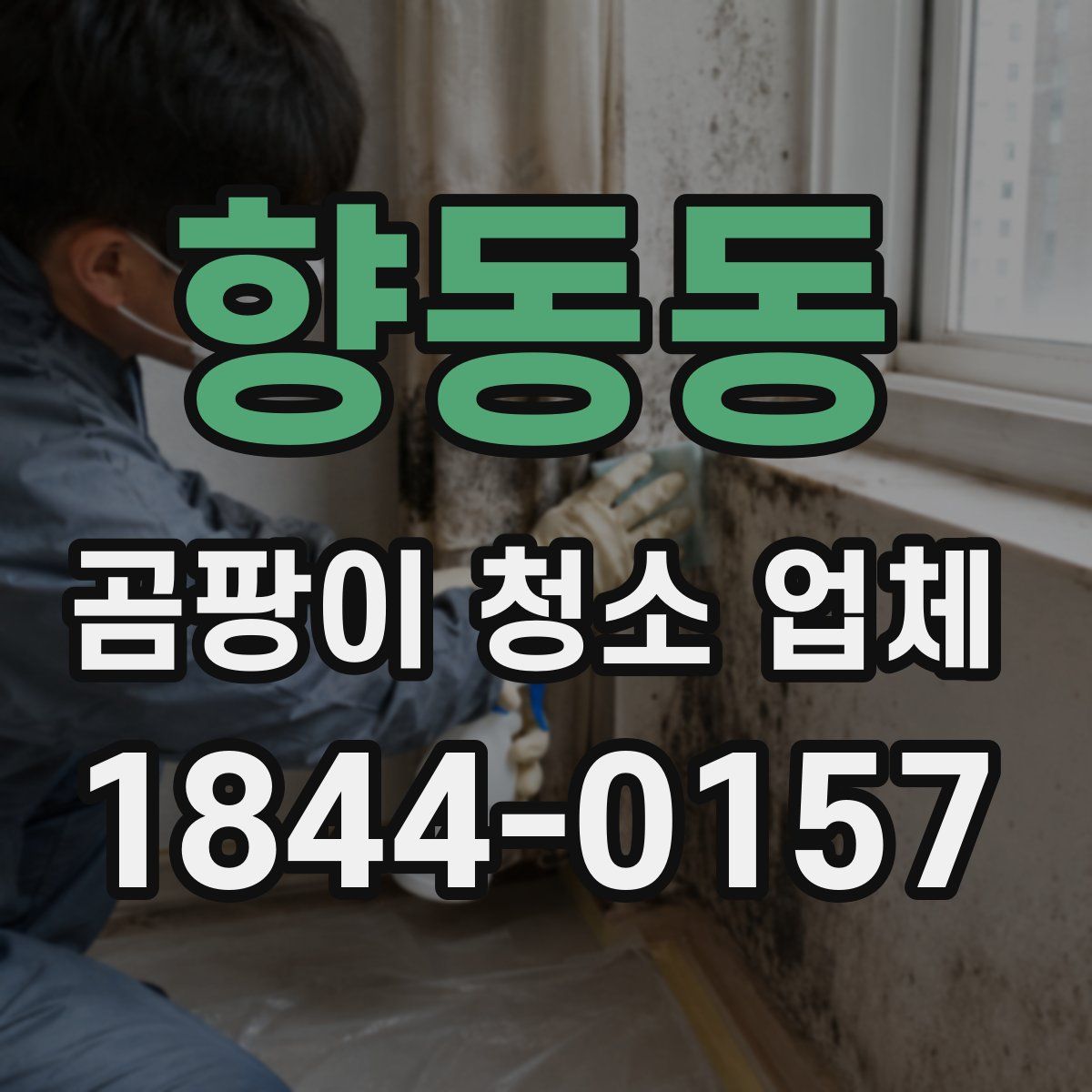 향동동 곰팡이 청소 업체