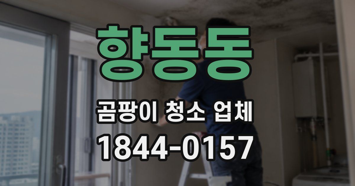 향동동 곰팡이 청소 업체