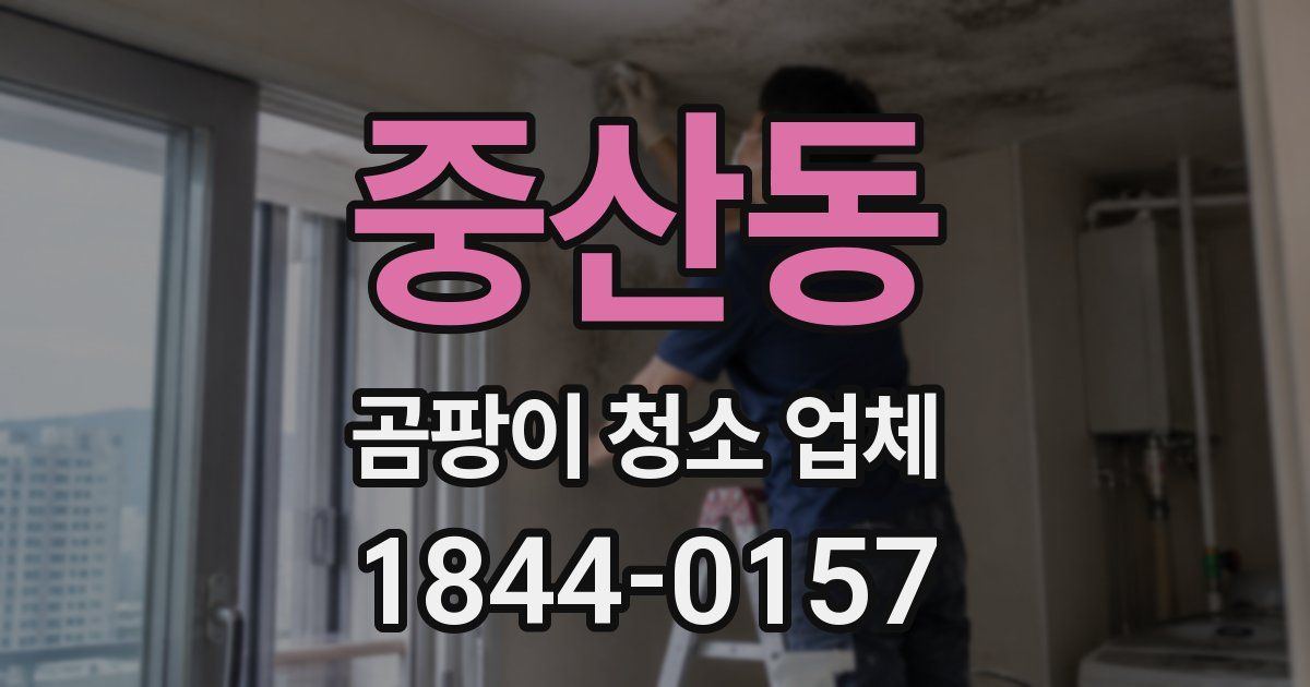 중산동 곰팡이 청소 업체