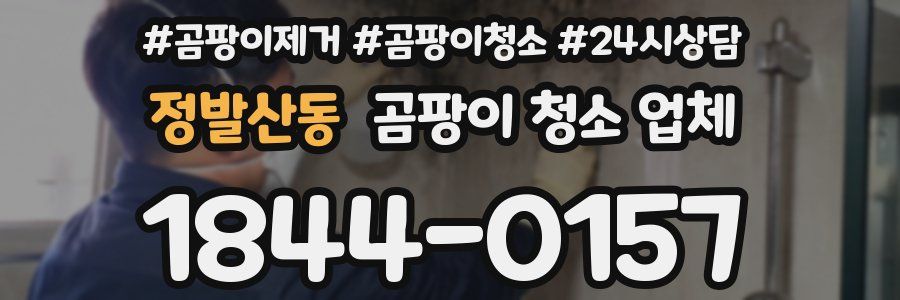 정발산동 곰팡이 청소 업체