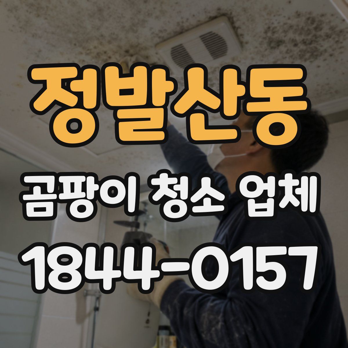 정발산동 곰팡이 청소 업체