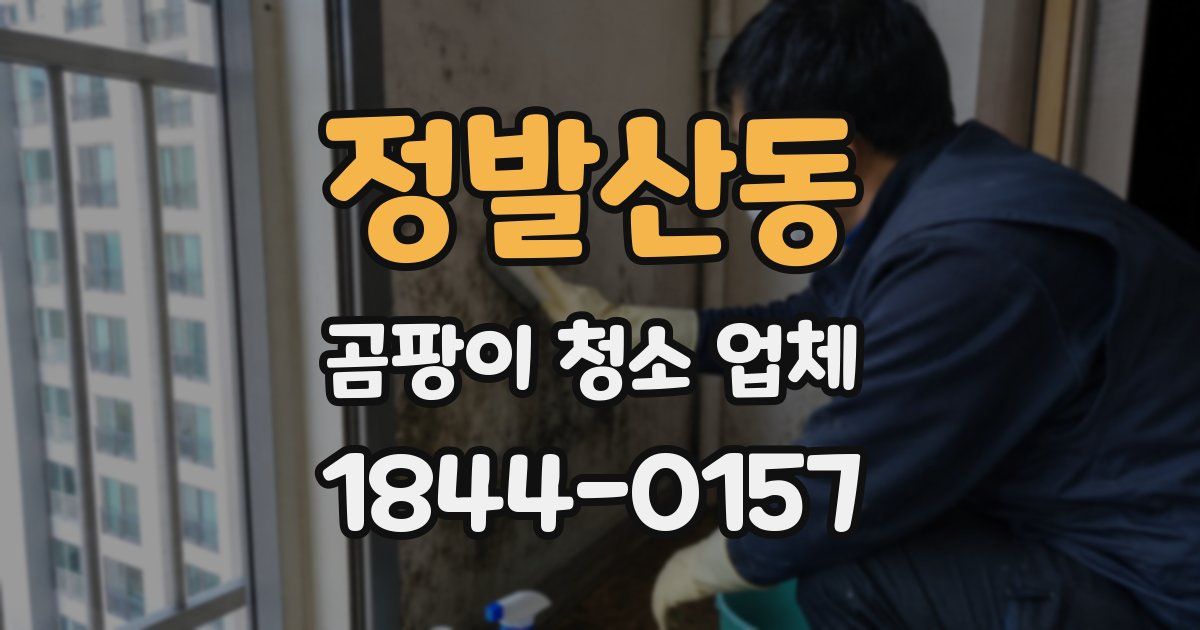 정발산동 곰팡이 청소 업체
