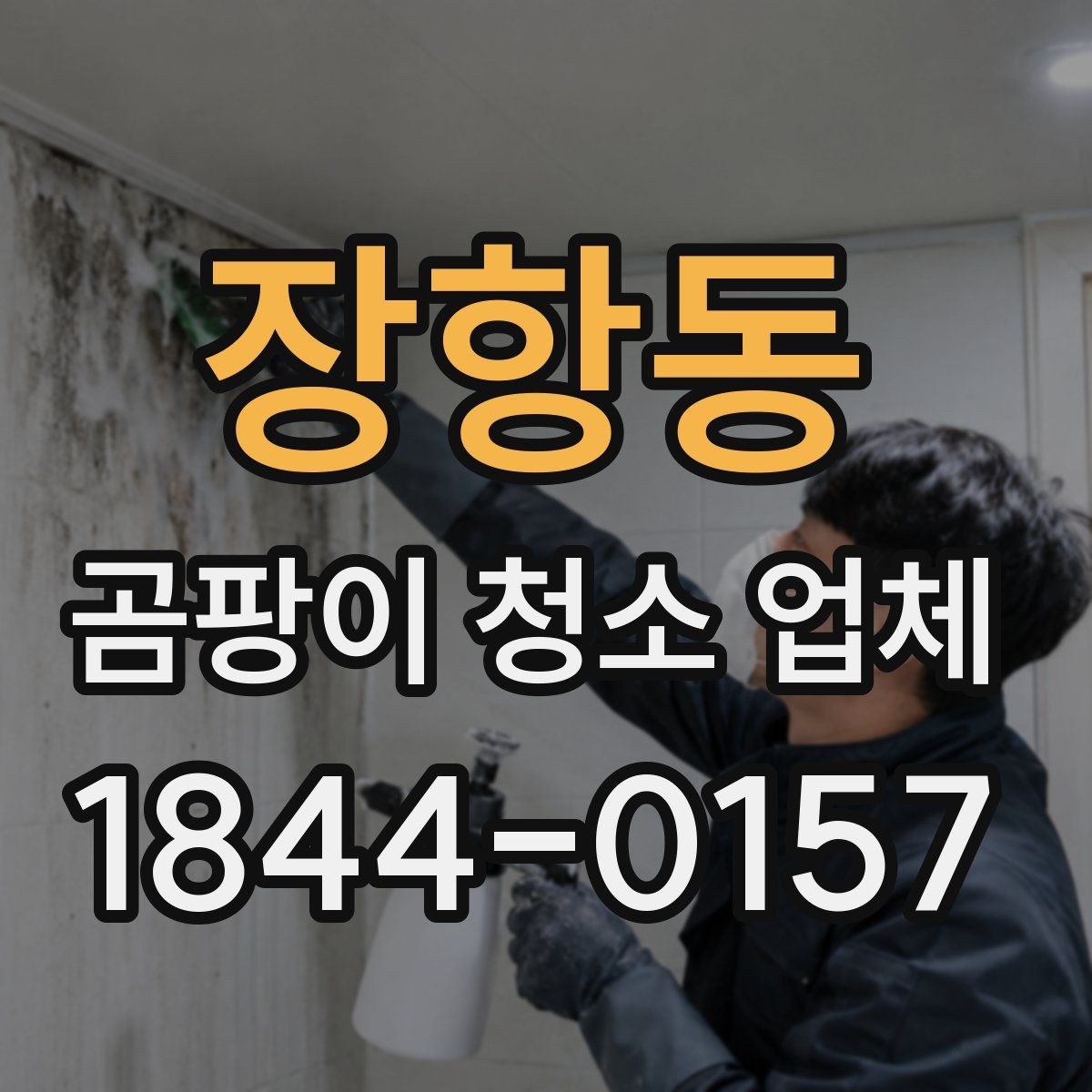 장항동 곰팡이 청소 업체