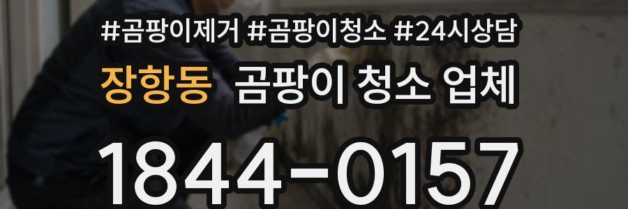 장항동 곰팡이 청소 업체