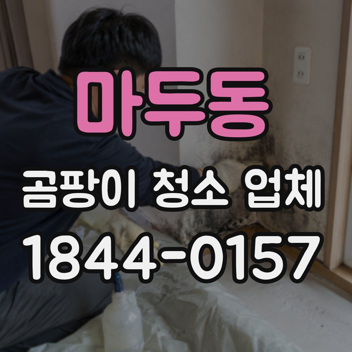 마두동 곰팡이 청소 업체