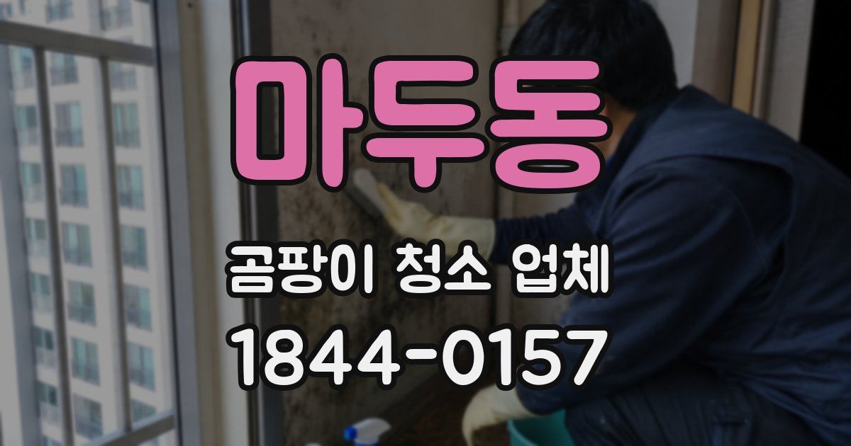마두동 곰팡이 청소 업체