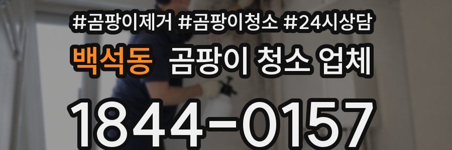 백석동 곰팡이 청소 업체