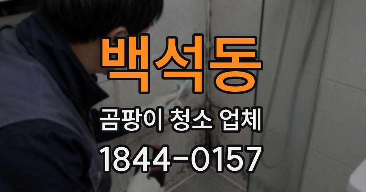 백석동 곰팡이 청소 업체