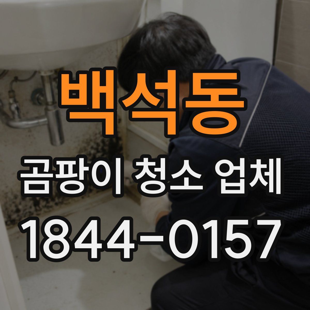 백석동 곰팡이 청소 업체