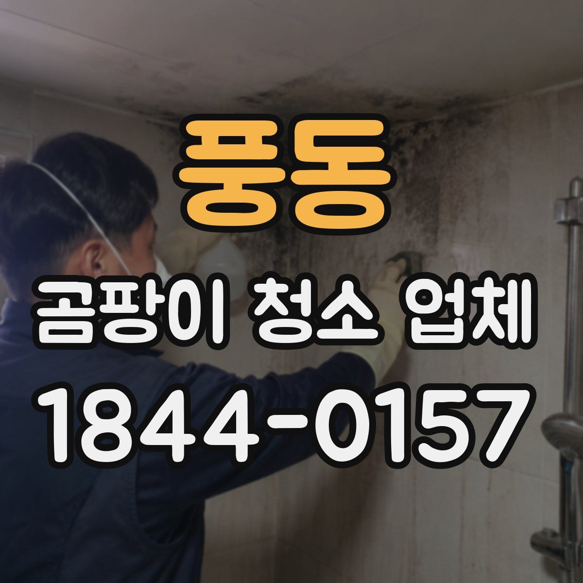 풍동 곰팡이 청소 업체