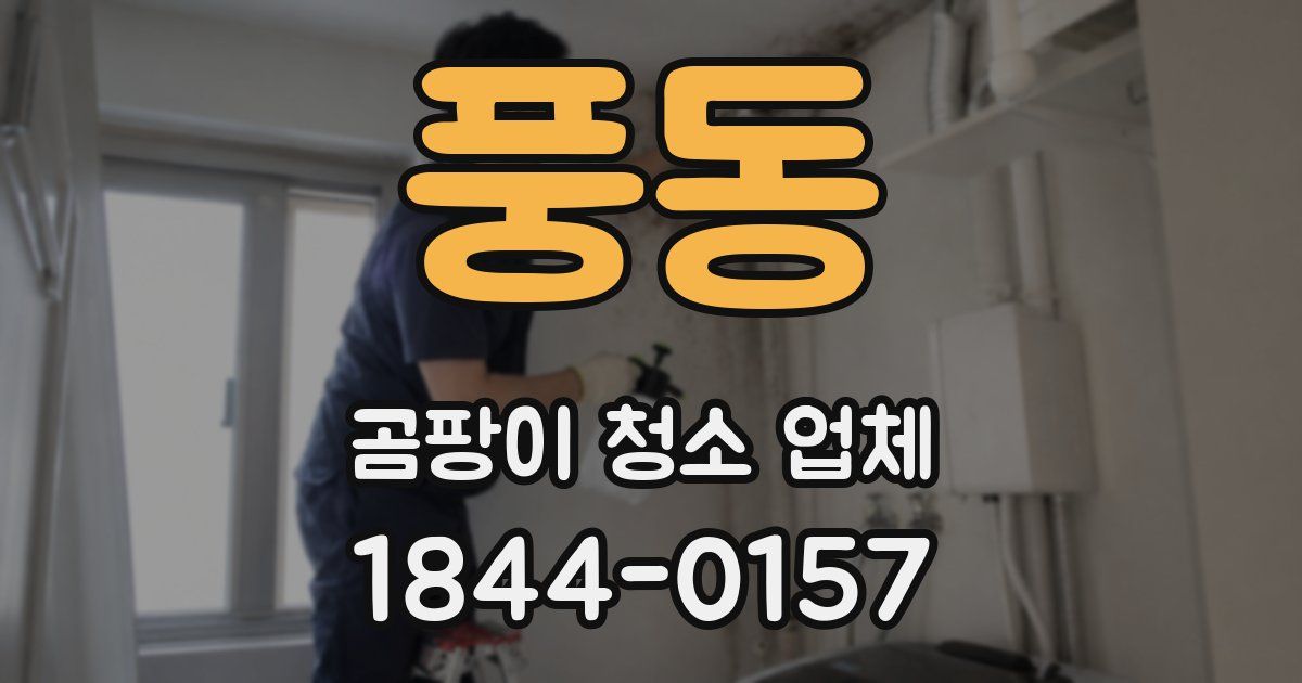 풍동 곰팡이 청소 업체