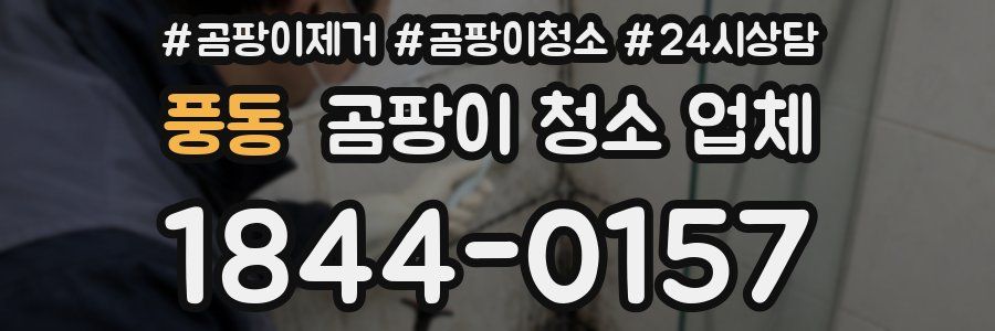 풍동 곰팡이 청소 업체