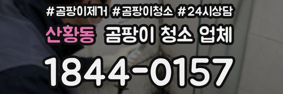 산황동 곰팡이 청소 업체