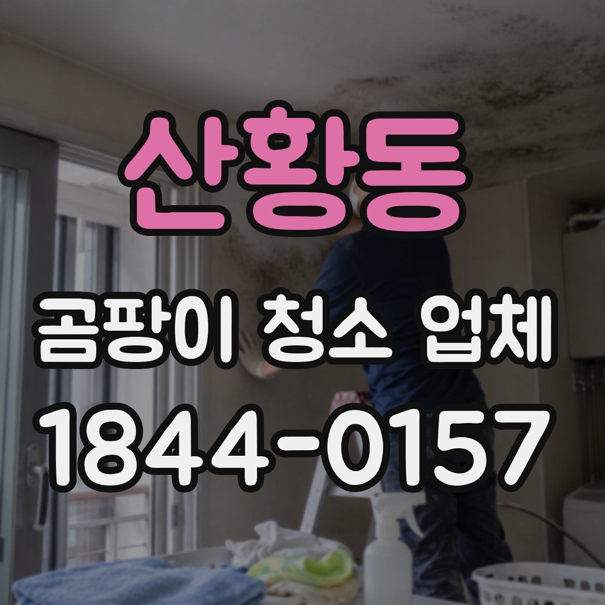 산황동 곰팡이 청소 업체