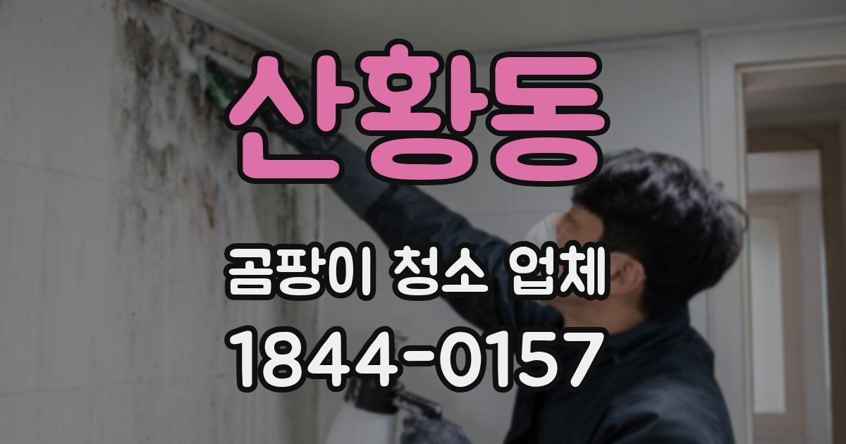 산황동 곰팡이 청소 업체