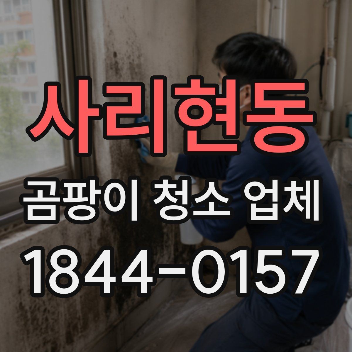 사리현동 곰팡이 청소 업체 침실 벽면 곰팡이 처리 과정과 주의점