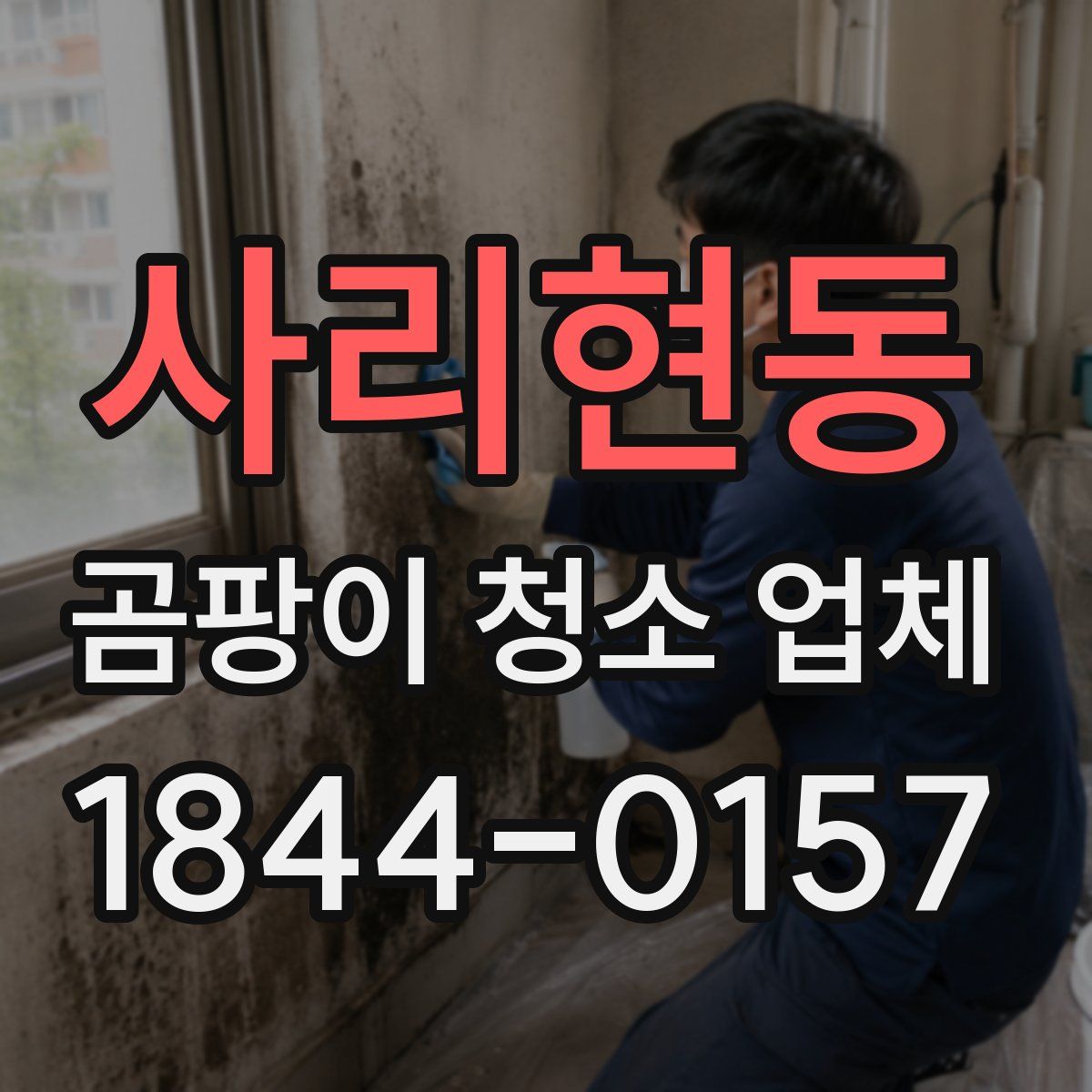 사리현동 곰팡이 청소 업체