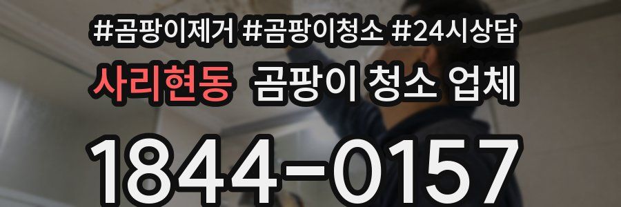 사리현동 곰팡이 청소 업체