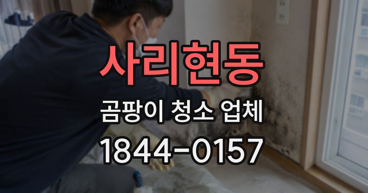 사리현동 곰팡이 청소 업체