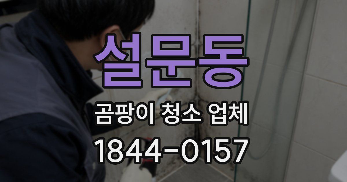 설문동 곰팡이 청소 업체