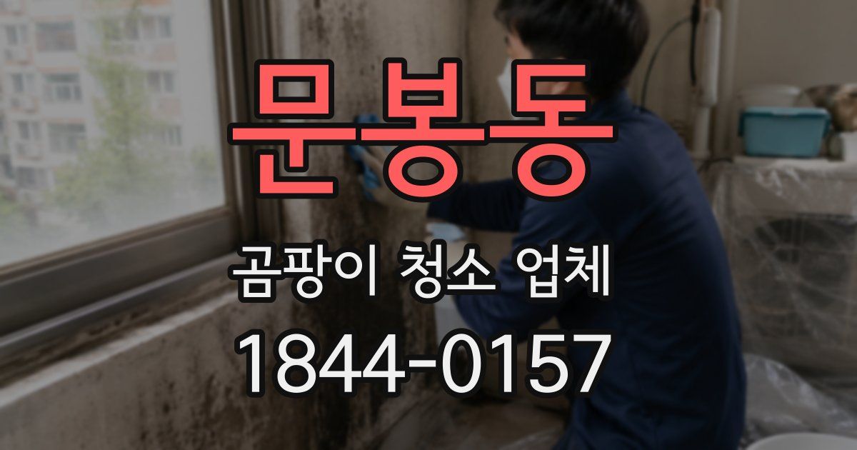 문봉동 곰팡이 청소 업체