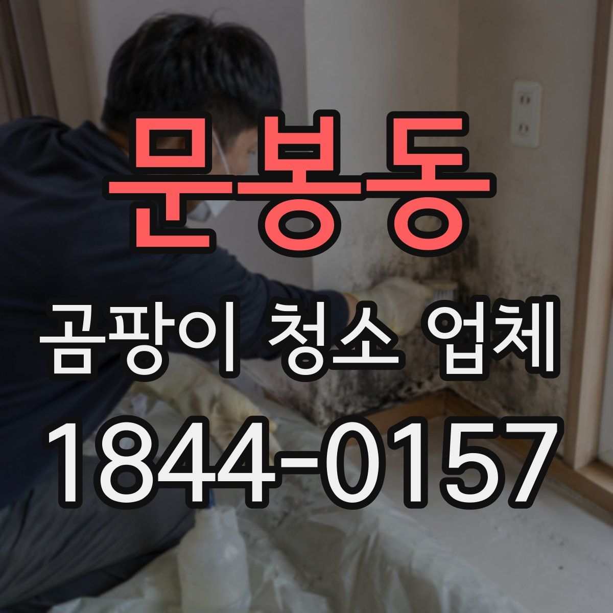 문봉동 곰팡이 청소 업체
