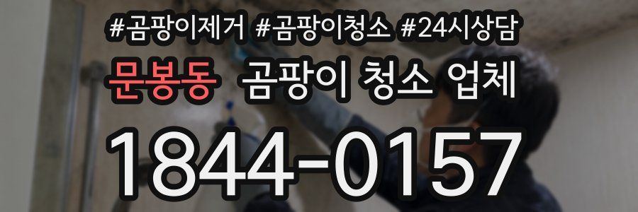 문봉동 곰팡이 청소 업체