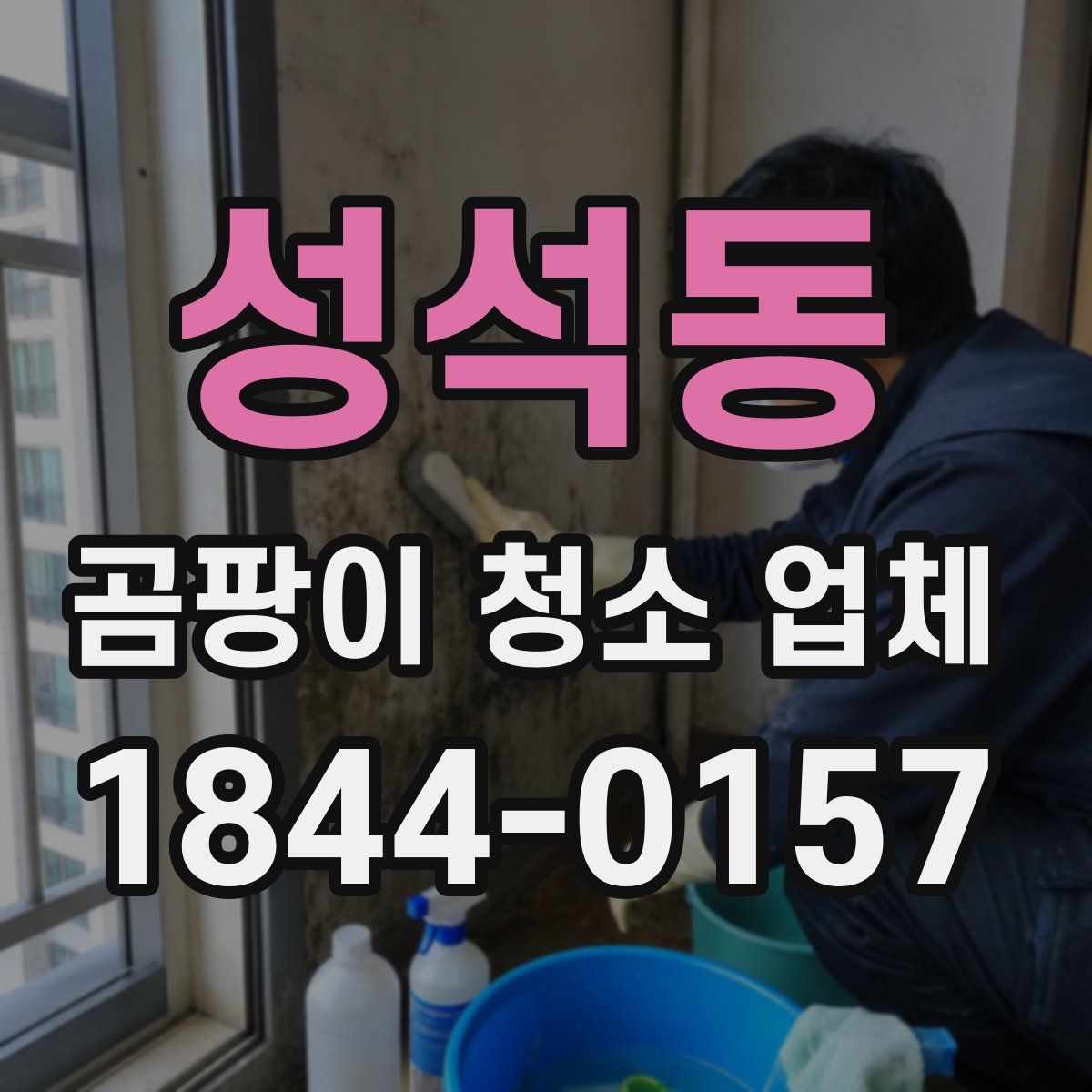 성석동 곰팡이 청소 업체