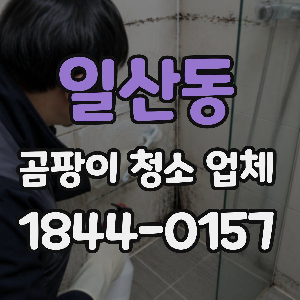 일산동 곰팡이 청소 업체