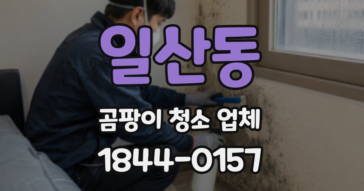 일산동 곰팡이 청소 업체