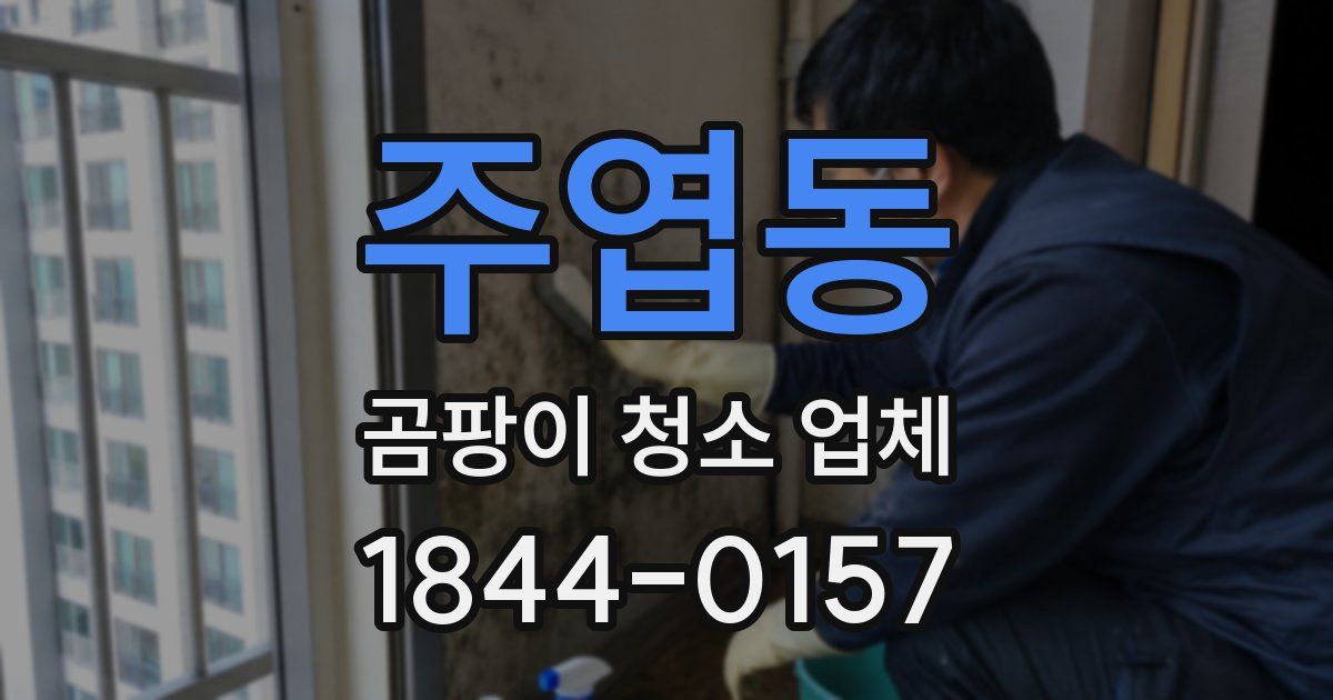 주엽동 곰팡이 청소 업체