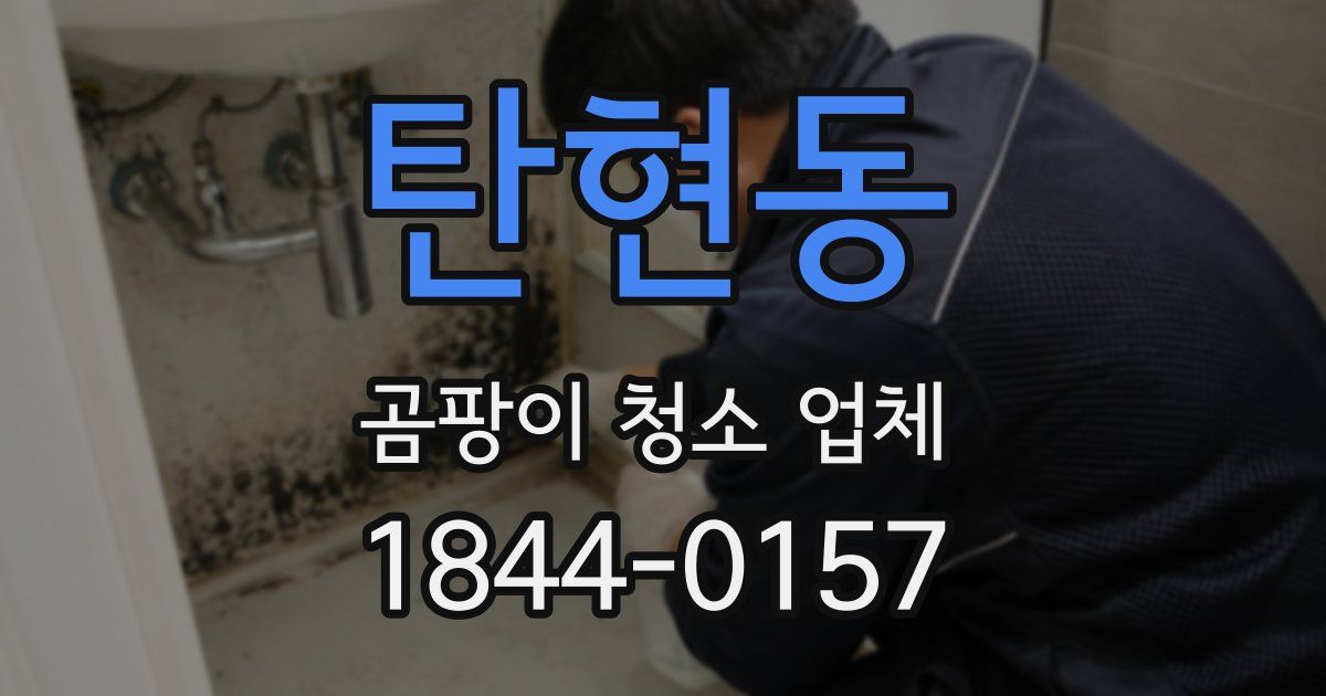 탄현동 곰팡이 청소 업체
