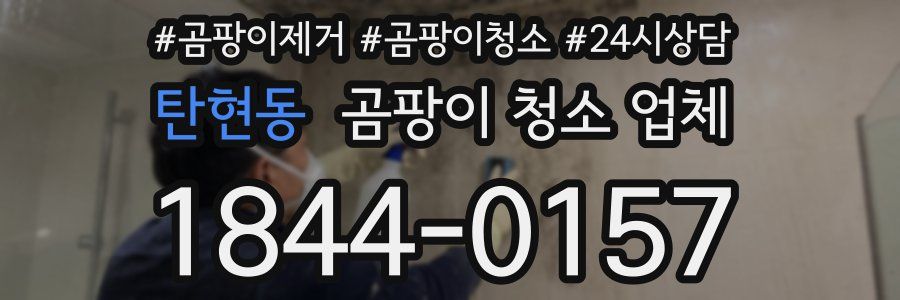 탄현동 곰팡이 청소 업체