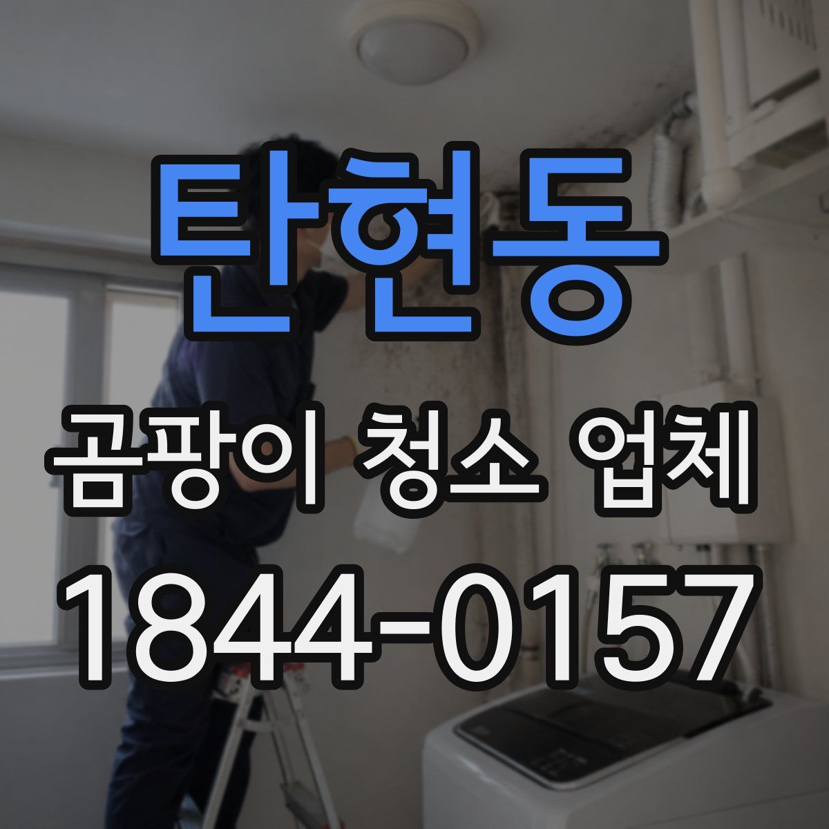 탄현동 곰팡이 청소 업체