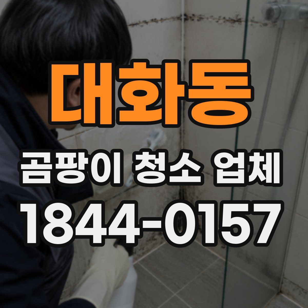 대화동 곰팡이 청소 업체